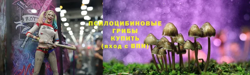 mega как зайти  сайты даркнета состав  Псилоцибиновые грибы MAGIC MUSHROOMS  Электрогорск 